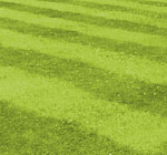 mowing
